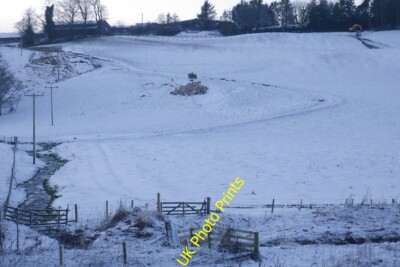 Foto 6x4 Versammlung, Wormiston Cringletie Hunde runden eine Schafherde um c2016