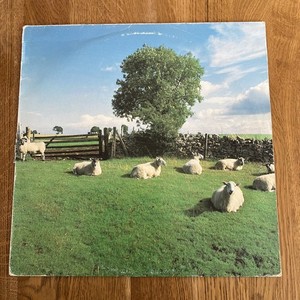 Klf Chill Out | eBay