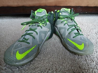 Nike LeBron James 12 Dunk Force 6Y