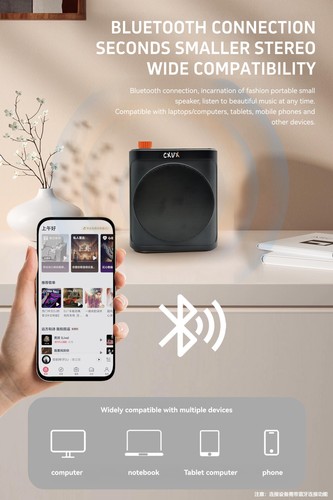Portable Wireless Voice Amplifier with Two Bluetooth Lavalier Microphone, Rec... - Picture 6 of 9