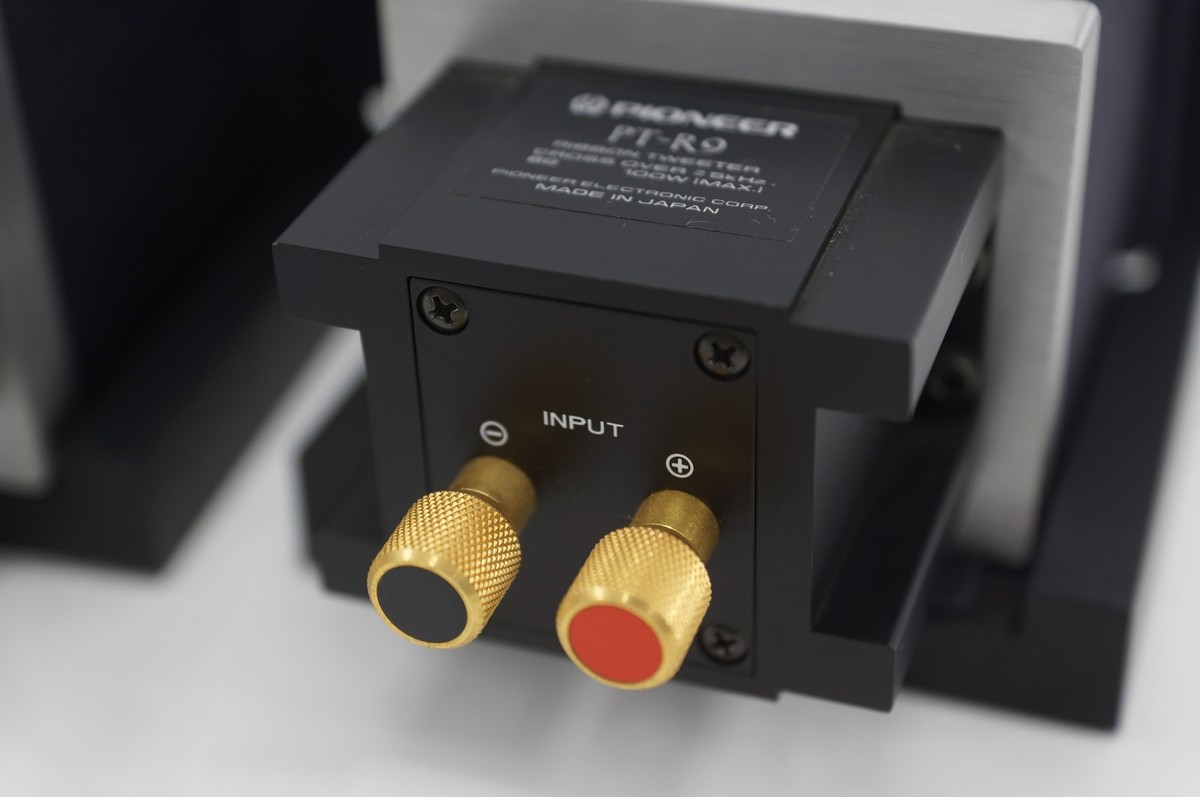PIONEER PT-R9 Ribbon Super Tweeter PAIR JAPAN speaker tad analog