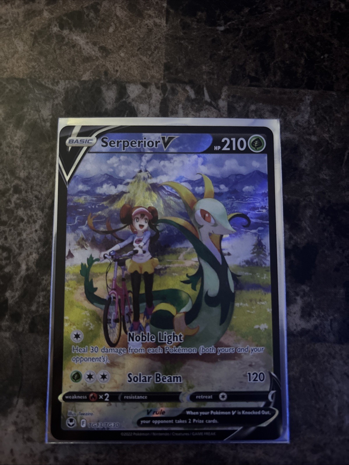 Pokémon TCG Serperior v TG13/TG30 Silver Tempest Trainer Gallery NM Card