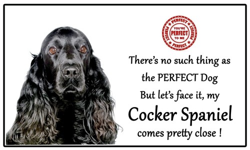 Cocker Spaniel Black Gift - Perfect Dog - Fun novelty Flexible 5" x 3" Magnet - Picture 2 of 2