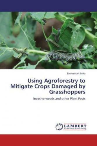 Thumbnail - Using Agroforestry To Mitigate Crops Damaged By Grasshoppers Invasive