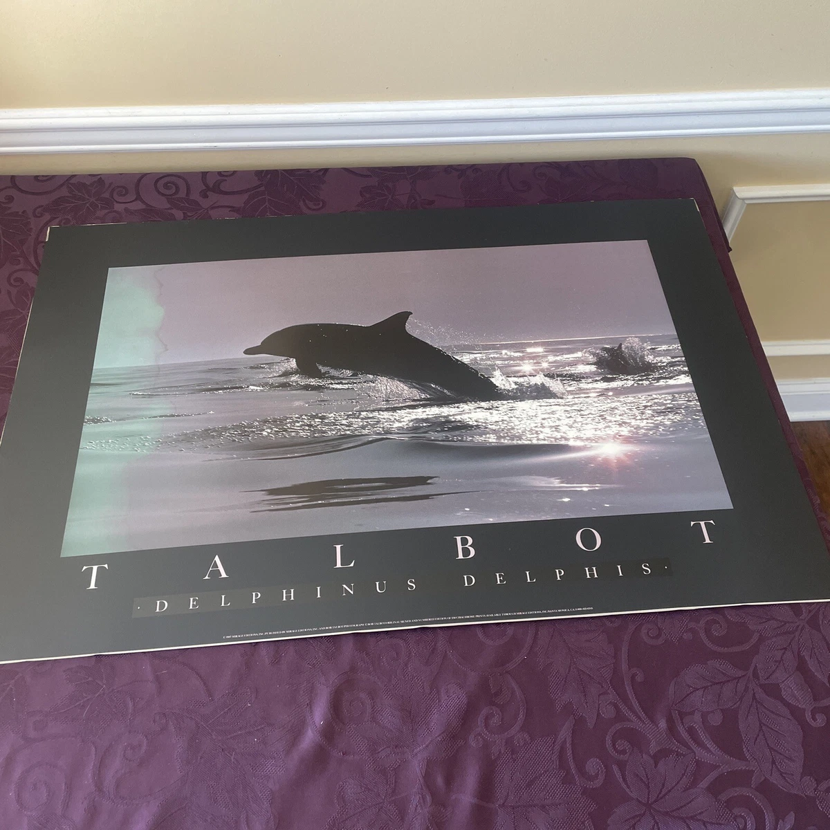 Bob Talbot 80s vintage poster 4種セット Bob Talbot 80s vintage poster 4種セット Bob Talbot 80s vintage