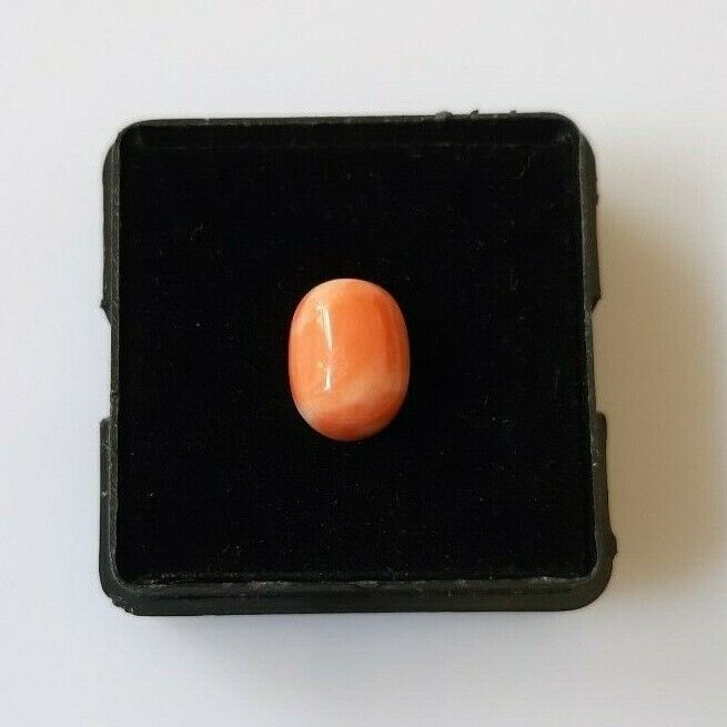 Foto 1 di 6