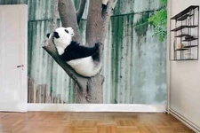 3D Panda Tree Wallpaper Wall Mural Removable Self-adhesive Sticker3624