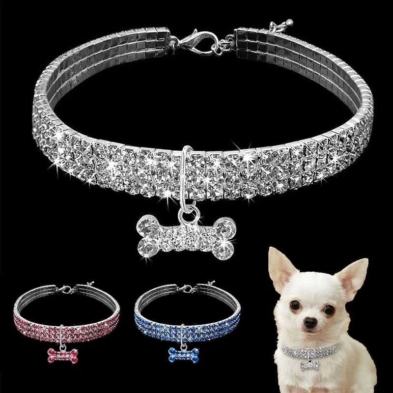 Diamond necklace for dogs sale