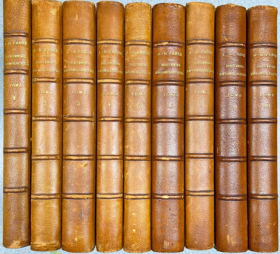 Souvenirs Entomologiques Etudes Sur L'Instinct et Moeurs Des Insects