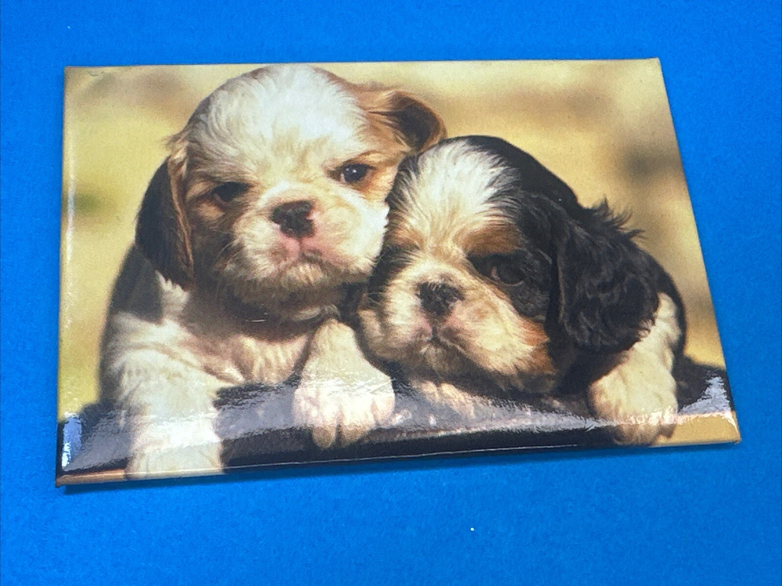 2 CAGNOLINI CANI ABBRACCIATI CALAMITA MAGNETE FRIGO FRIGORIFERO - COLLEZIONE