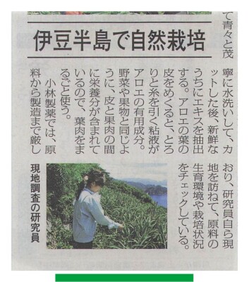 ぽておにページ Mamoswine - Pokemon Newspaper Clipping 91 Vintage Trading Japanese