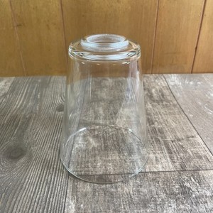 Hampton Bay Wakefield 3-Light Chrome Modern Vanity Replacement Glass Shade