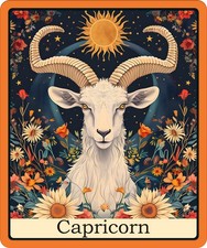 Zodiac Sticker (3 Inch) Zodiac Signs Tarot Card Horoscope Capricorn !