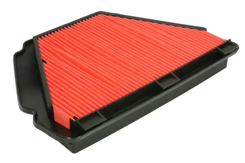 Filtro de aire HFA4924 HIFLOFILTRO - Imagen 1 de 8