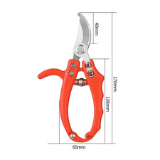 Gardening Branch Scissors Fruit Tree Shears Grafting Pruning for Bonsai Househol