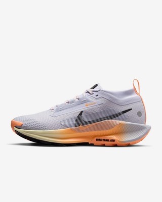 Nike Pegasus Trail 5 GORE-TEX Women's Waterproof Trail Running Shoes FQ0912-011