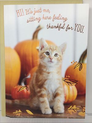 4 Hallmark Expressions Happy THANKSGIVING Card Anyone 8  x 5.5  Kitty Cat Friend