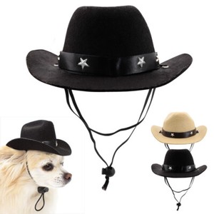 small dog cowboy hat