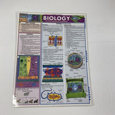 Biology (Quickstudy Reference Guides - Academic) by BarCharts, Inc., Good Book