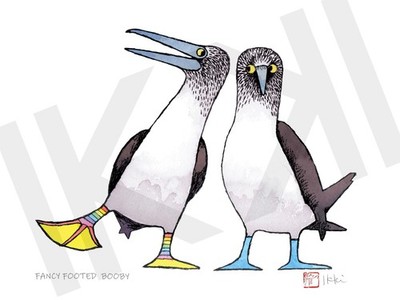 Fancy Footed Booby by Ikki Matsumoto, Giclee Print