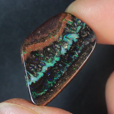 16.9CT AMAZING Natural AUSTRALIA KOROIT  Boulder Opal Stone Kucina Opals + VIDEO