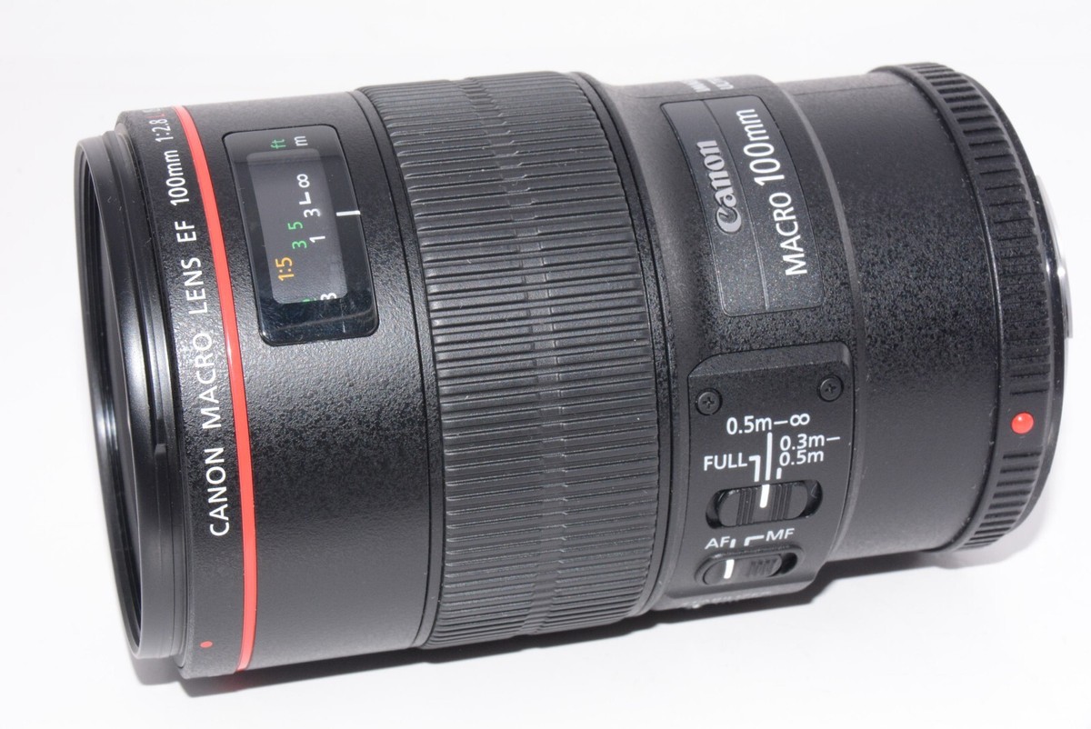 ☆超美品☆ Canon EF 100mm F2.8 USM #18248 Canon EF 100mm f/2.8