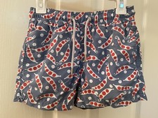 Love Brand  Co Two Peas in a Pod Swim Shorts Trunks Blue Boys Size 4-6