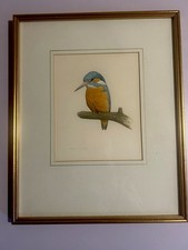 Simon Turvey Aquarell - Eisvogel Vogel Vögel Ornithologie