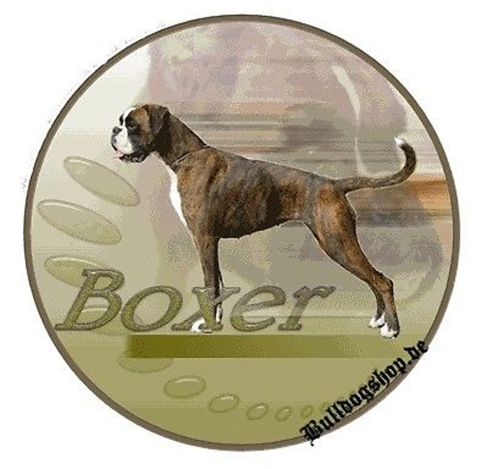 Aufkleber Motiv Deutscher Boxer Hund 2 Boxerhund Autoaufkleber Sticker - Bild 1 von 1