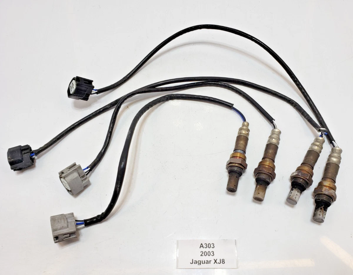 Sensor De Detonación (knock) Para Jaguar XJ8, XK8, XJR, XKR 1998