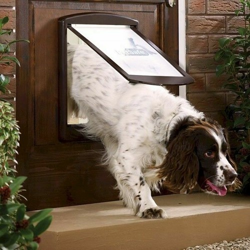 draught proof dog flap