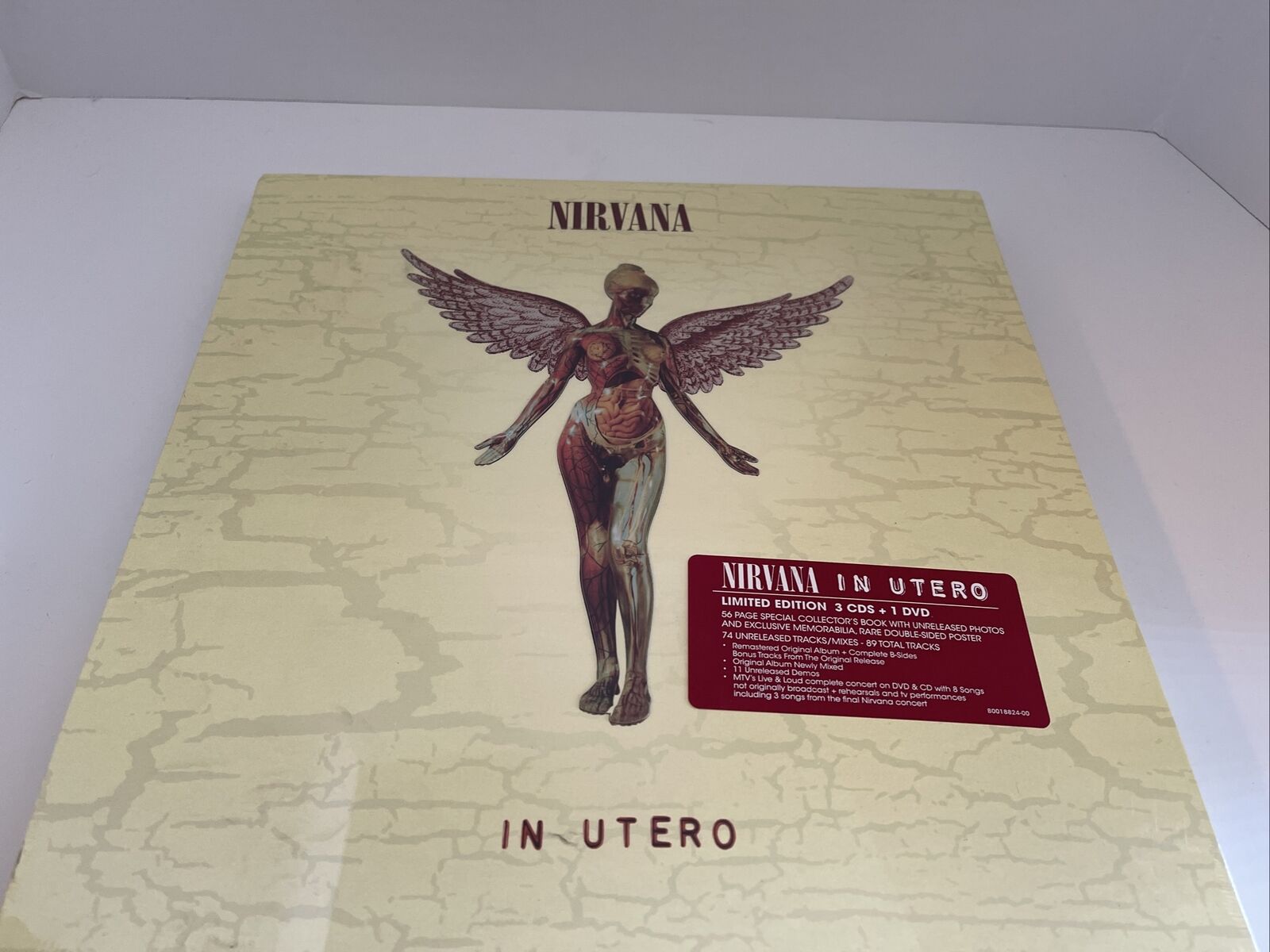 NIRVANA IN UTERO Special Limited Disc