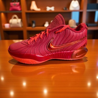 Nike Lebron James XX1 21 James Gang Crimson Red Basketball Shoes Size 8.5 New