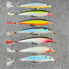 Rapala X-Rap 10, XR10 Suspending Jerkbait Lur...