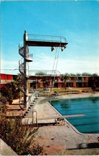 Diving Board, Swimming Pool, Shamrock Hilton, HOUSTON Texas Advertising Postcard
