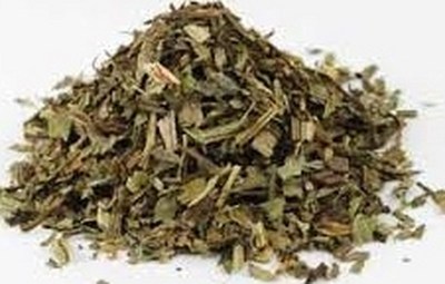 Plantain Leaf herb Organic cut sifted by oz or tea bags Free ship Plantago major