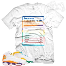 SUCCESS FACTS Sneaker T Shirt to match J1 13 Playground Multicolor 