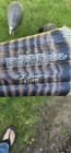 2001 And 1999 Sceery Inflatable Turkey Decoys  2 Hens  1 Jake- Hunting — photo 4
