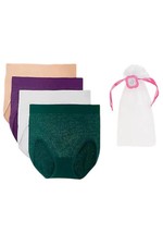 Breezies Women's 4-pack Set Sparkle Stripe Seamless Brief Holiday