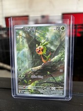 Chespin 087/086 - Mega Evolution: Chaos Rising - Pokemon TCG Illustration Rare