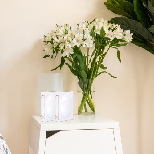  6 Pezzi Scatola Portagioie Piccole Scatole Portagioie Plastica Organizzatore Gioielli - Foto 9 di 12