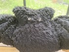 Bild 3 von 10