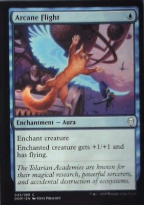 Arcane Flight - Dominaria: #43, Magic: The Gathering Nm C308