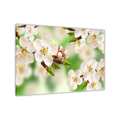 Grüne Frühlingsblüte Leinwand Wandbild Bild Druck
