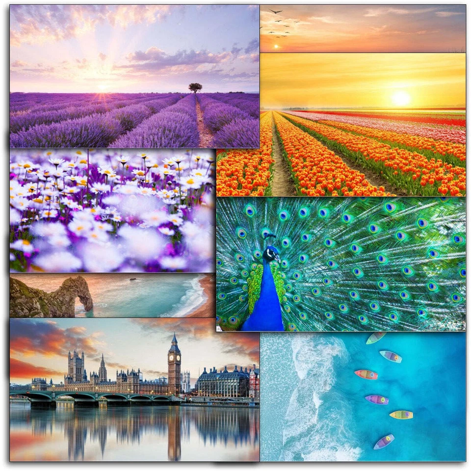 Doodlecards Pack of 10 Photographic Blank Cards - Image 4 of 4