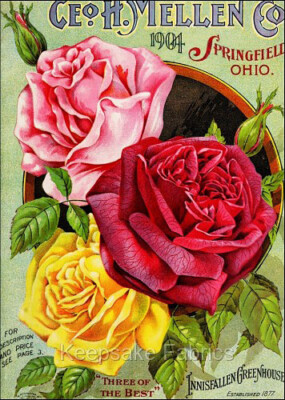 Fabric Block Vintage Roses Seed Catalog Multi Szs FrEE Shipping (101D