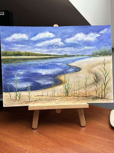 Original Aquarell 12’’x16’’ Fluss Schilf das Flussufer Wolkenreflexion A3