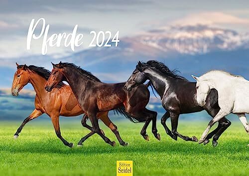 Edition Seidel Calendrier De Qualité Supérieure Fascination Thaïlande