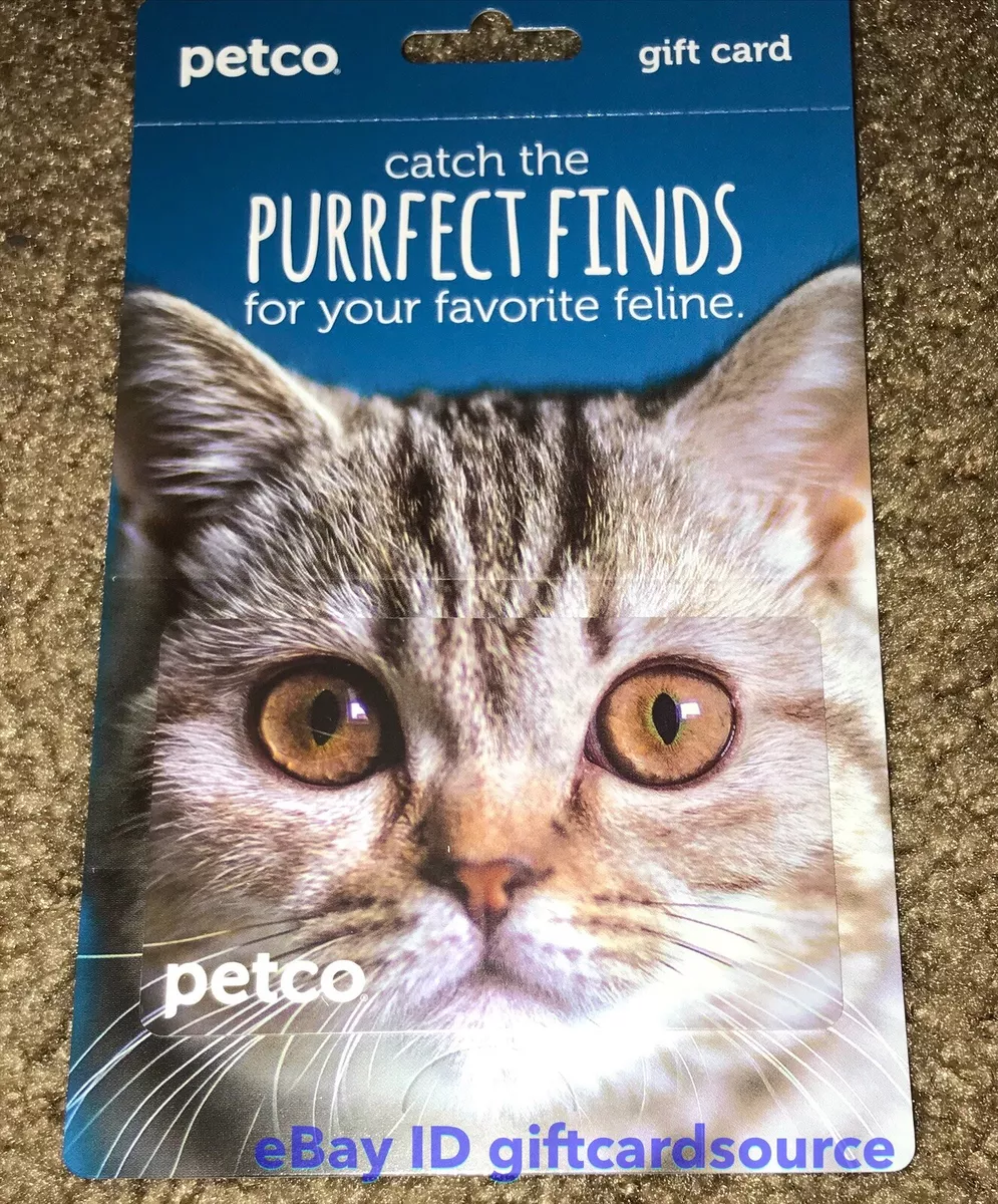 Petco cat cheap prices