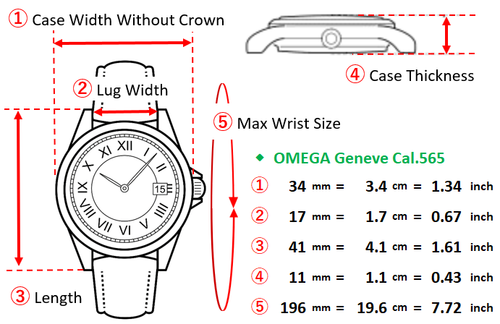 【NEAR MINT】 OMEGA Geneve Cal.565 166.041 Silber Datum Vintage 34mm AT Herrenuhr - Bild 2 von 18